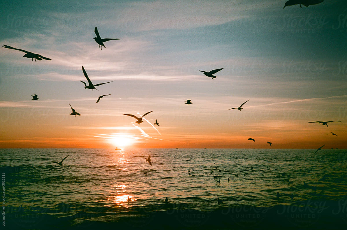 Sunset in the sea with seagulls and a beautiful clouds.