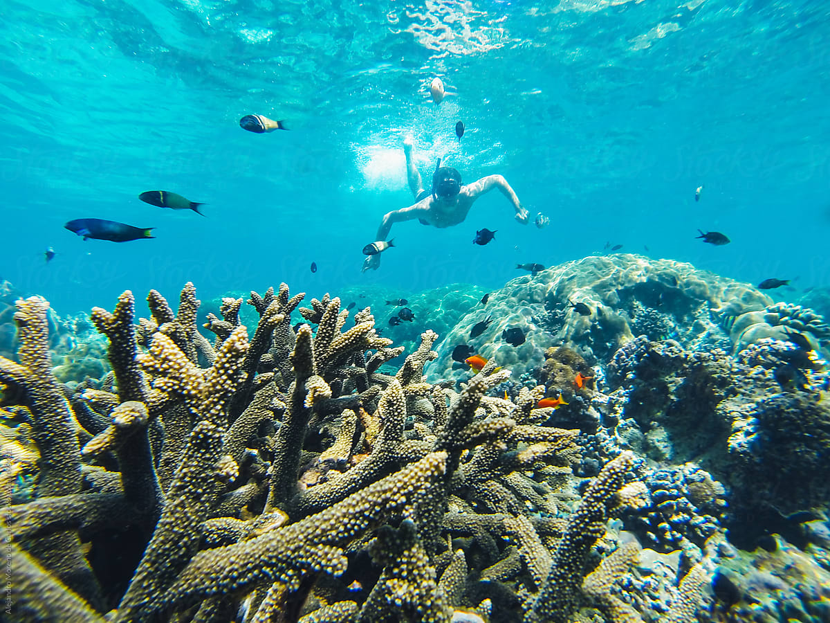 Young man snorkeling and diving on colourful tropical coral reef underwater