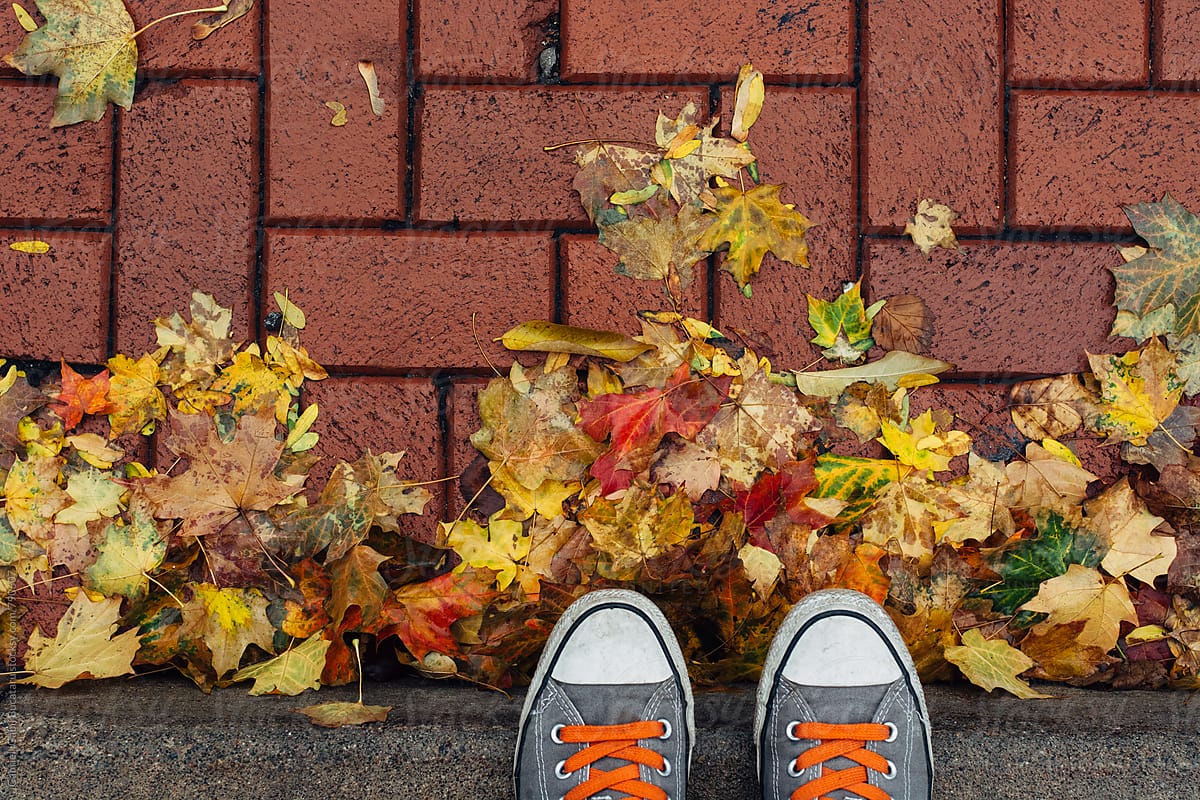 Photographer\'s shoes and fall leaves on sidewalk