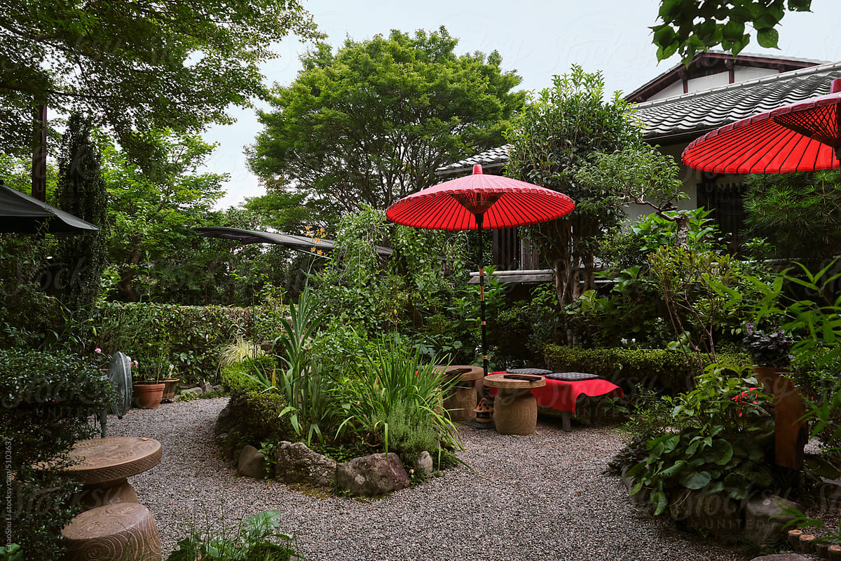 Close up beautiful japanese courtyard garden
