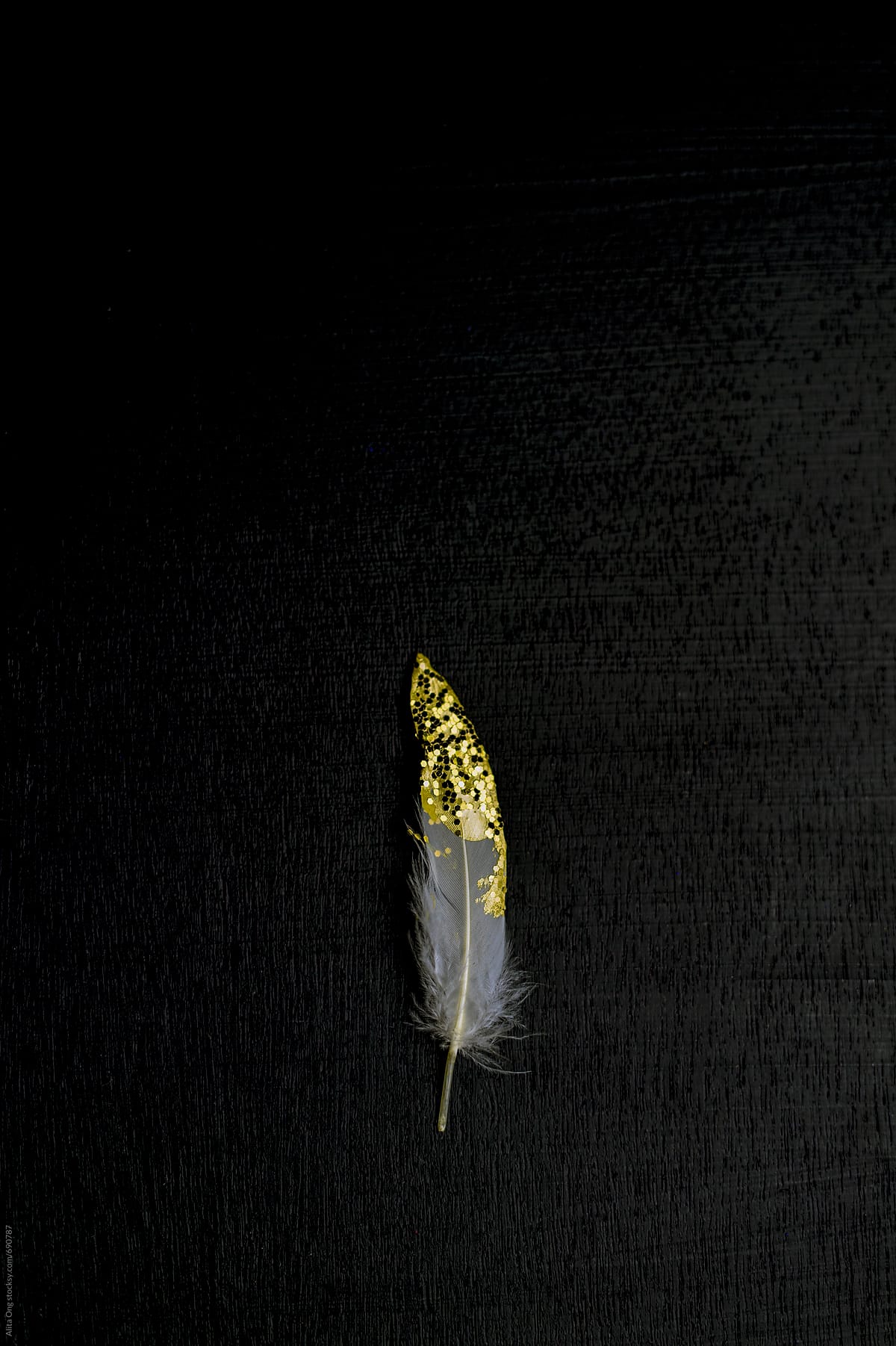 Golden feather on black background