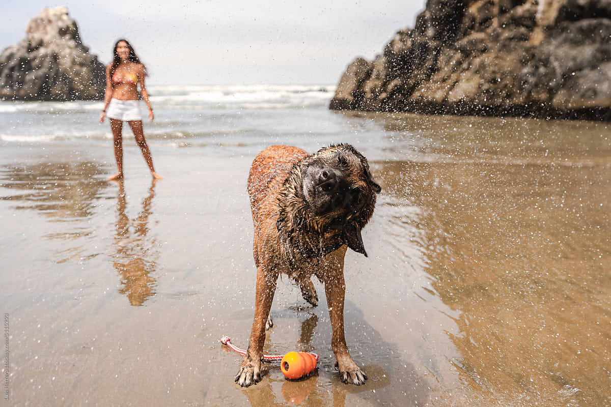 Woman and her dog playing fetch at the beach