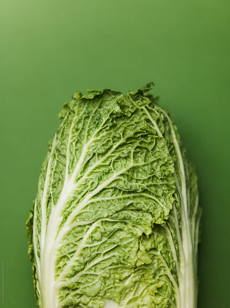 Green Chinese cabbage on green background