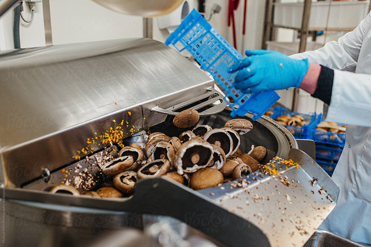 Mushrooms transferred to a food processor