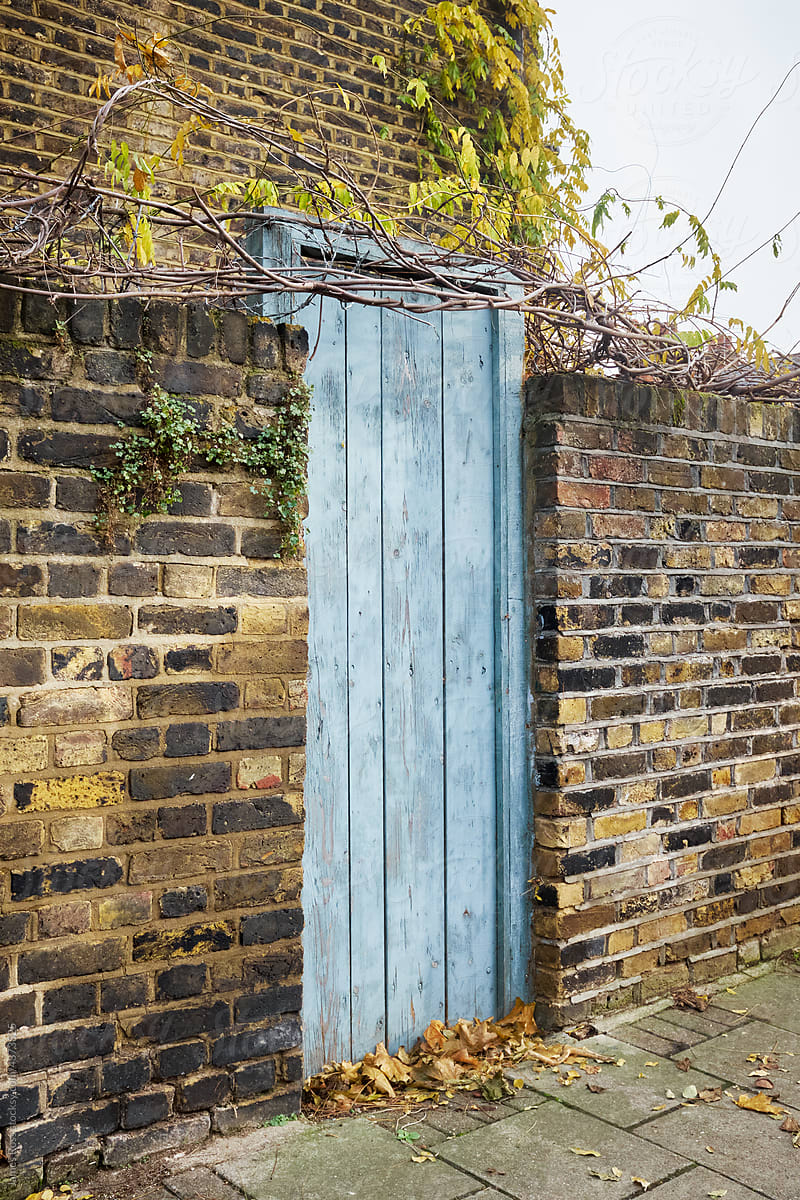 Blue Door and Brick Wall