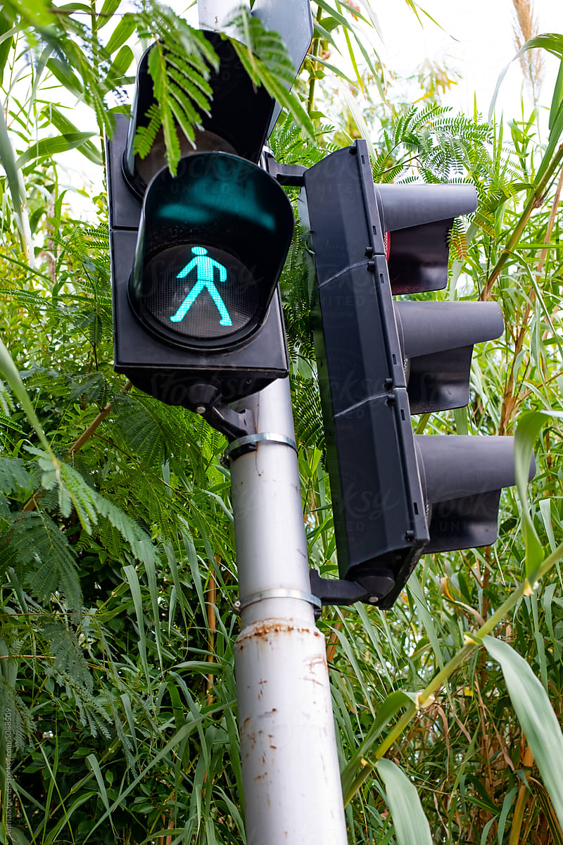 green traffic light standing in dense thickets