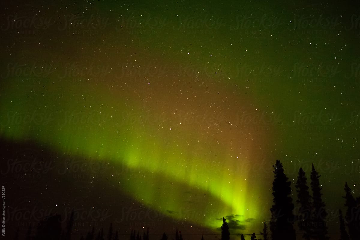 Northern Lights (Aurora Borealis) Silhouettes Trees