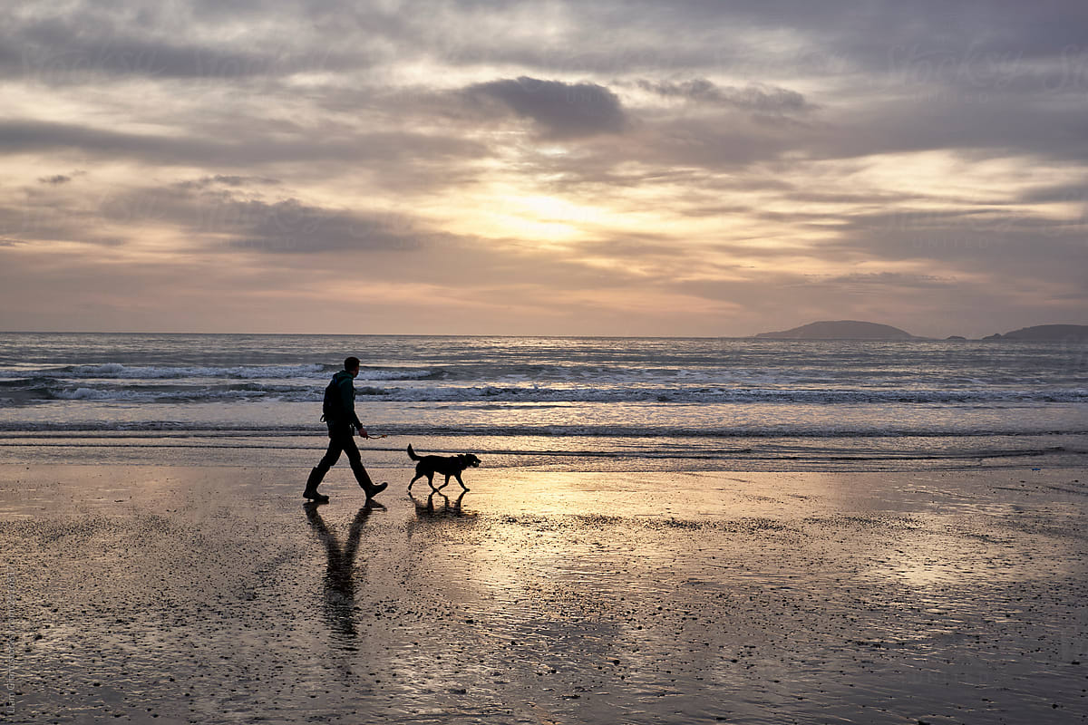 Male walking his dog on Porth Neigwl (Hell\'s Mouth) Beach at sunset. Wales, UK.
