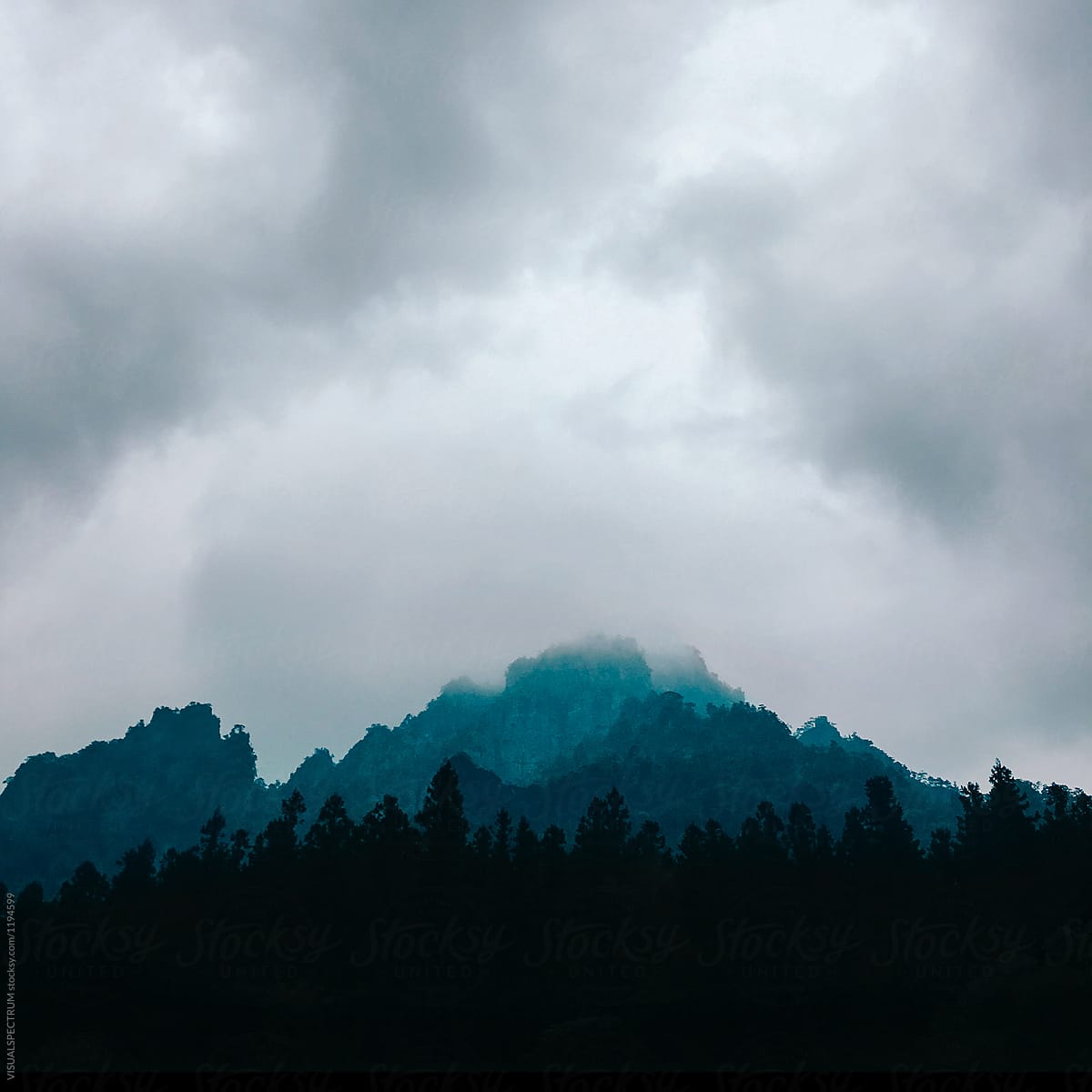 Mystical Foggy Mountains in Japan (Mount Myogi)