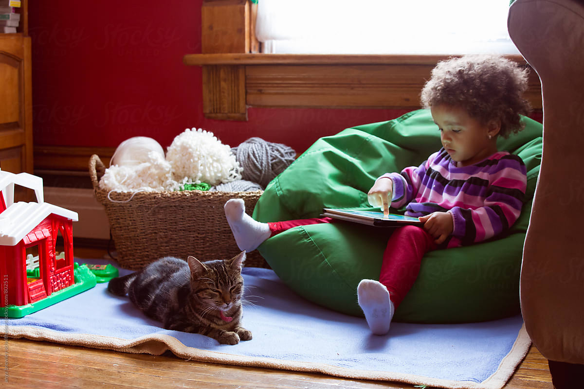 Toddler girl sitting in a bean chair next to her cat