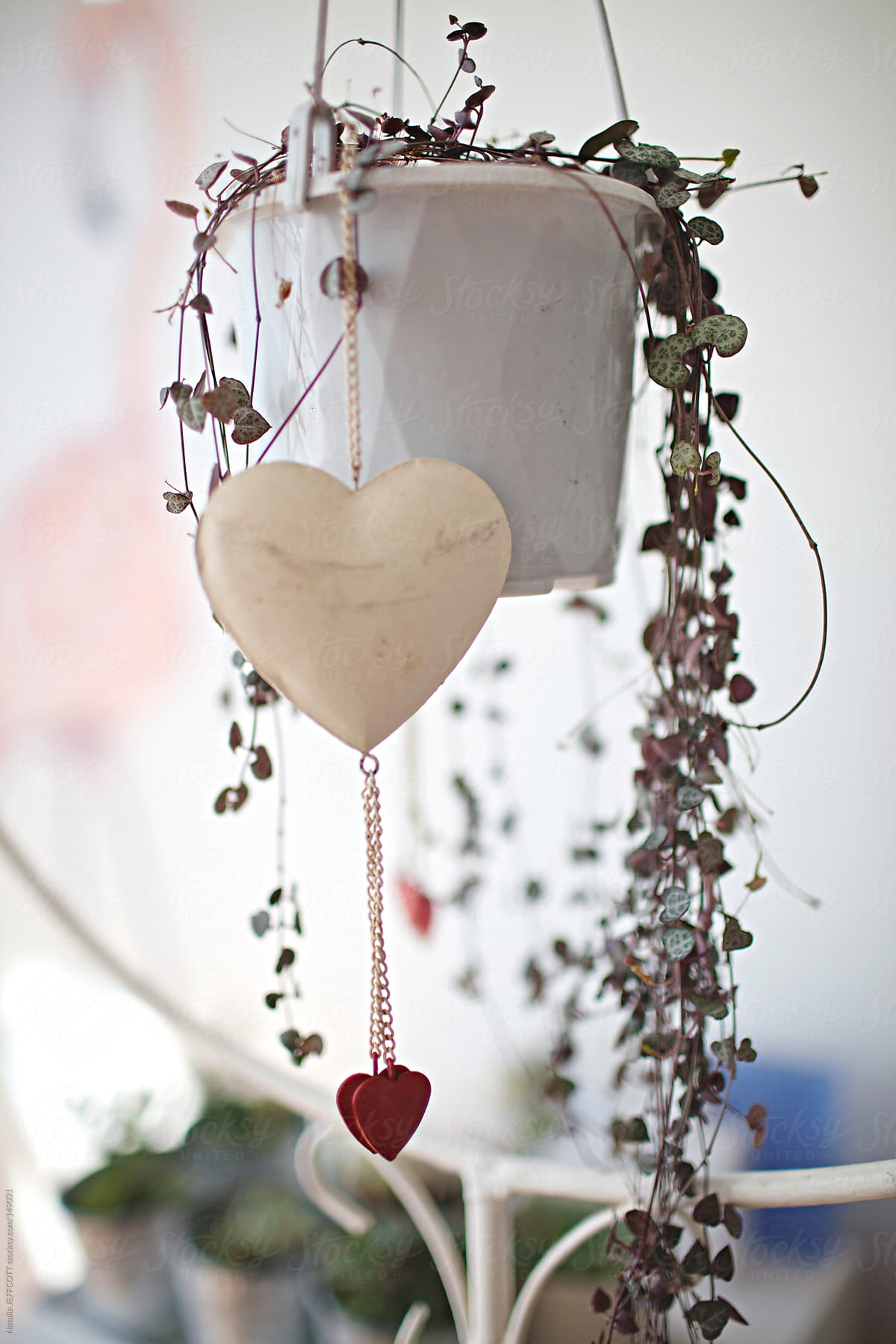 indoor hanging plant with heart decoration