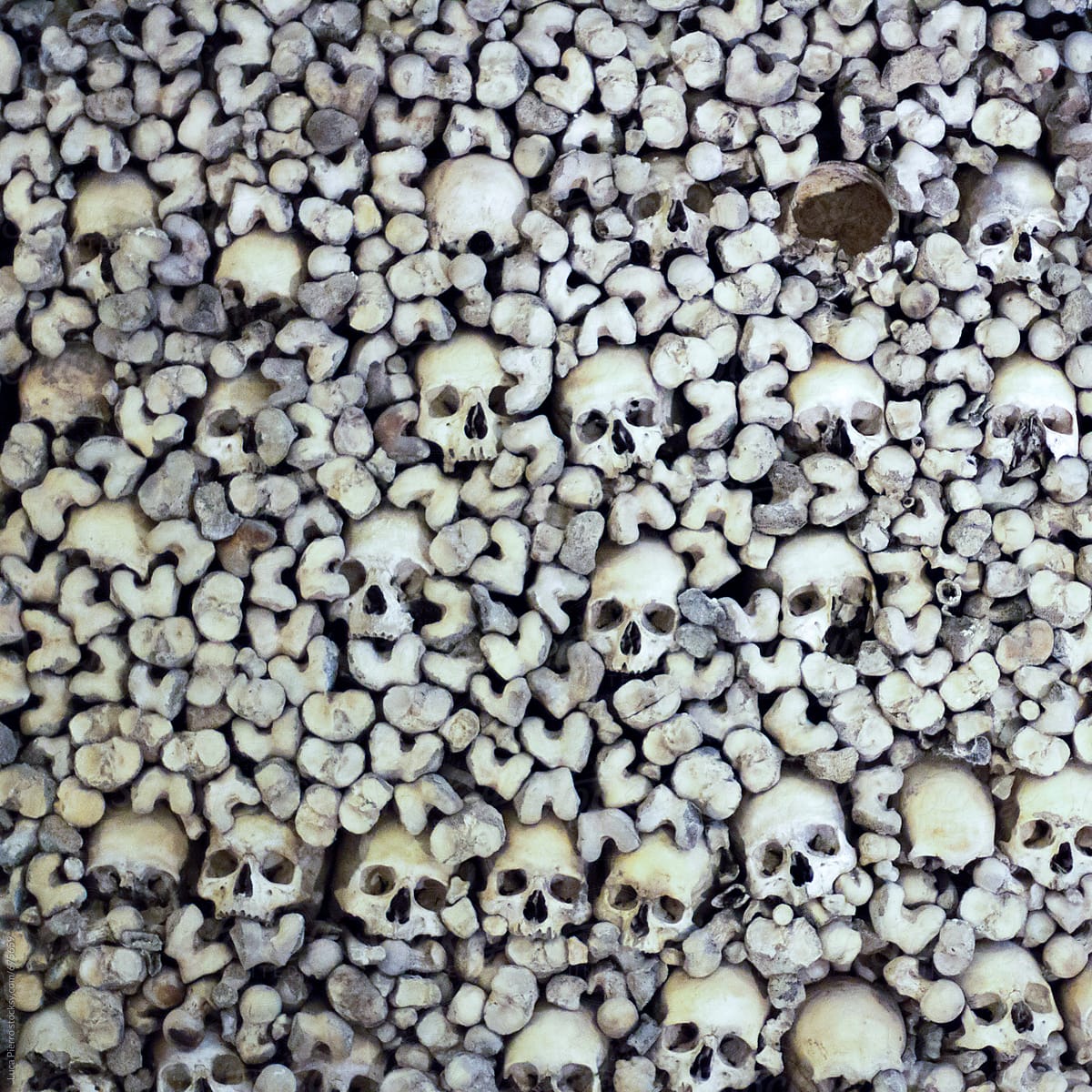 Pattern of skulls and bones