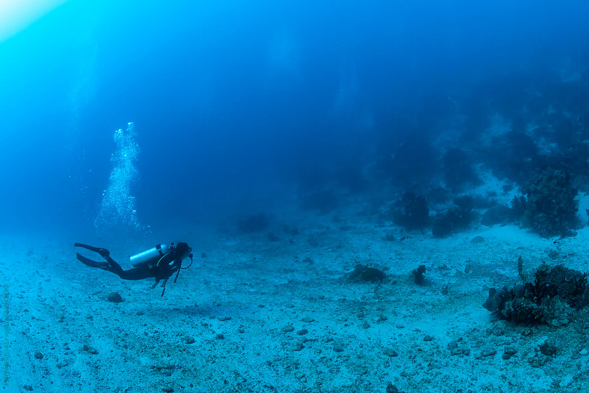 Diver Swimming Deep