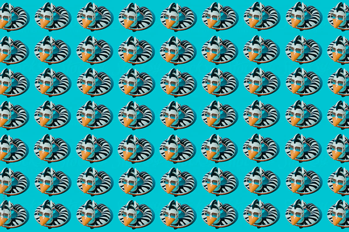 zebra-shaped swim rings using sunglasses