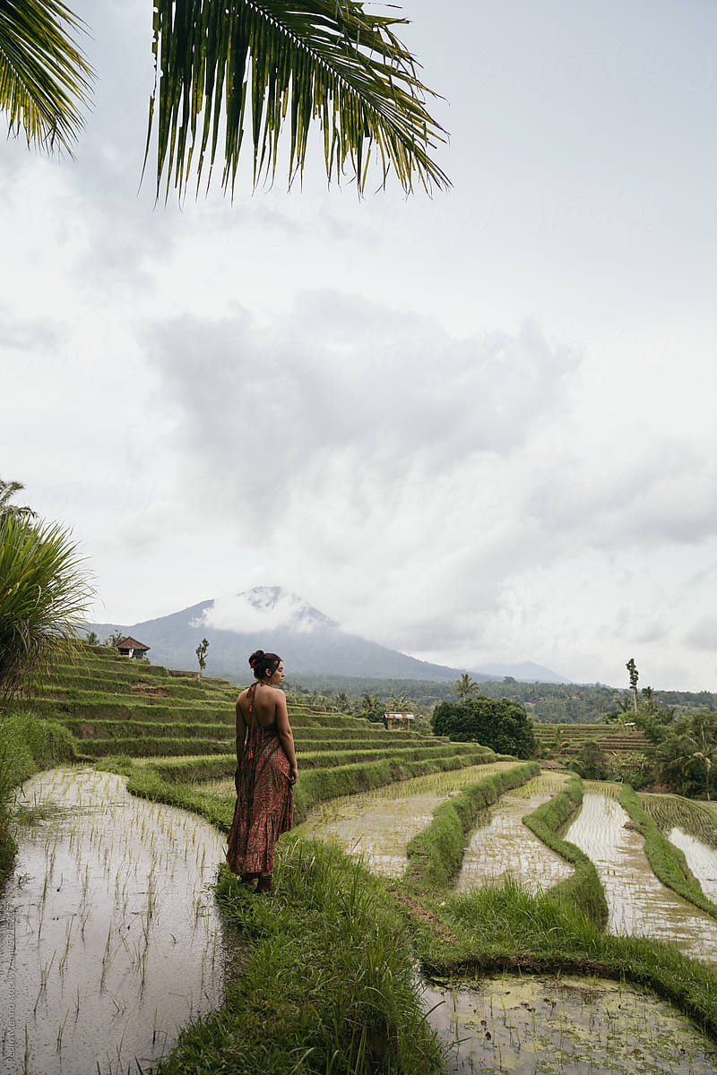 Woman in Jatiluwih rice terraces. Bali, Indonesia