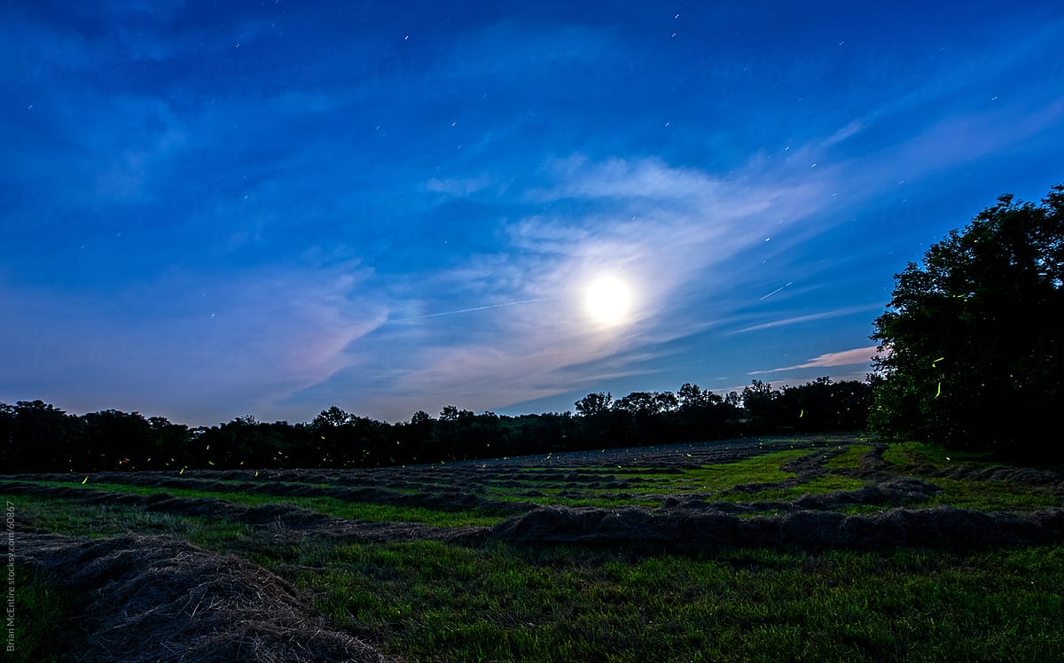 June 2013 Super Moon Rising Over Fresh Cut Hay Field with Fireflies