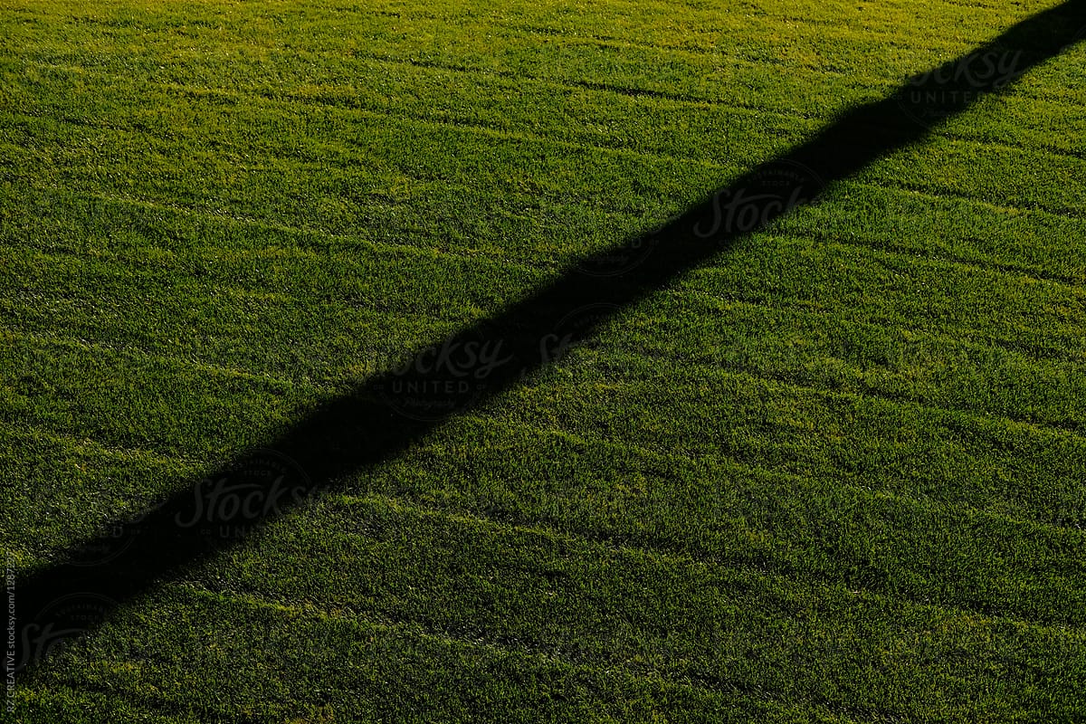 Green grass and shadow.