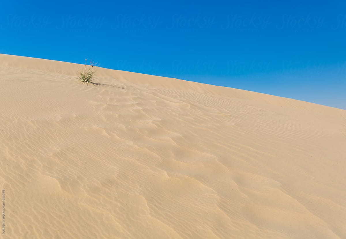Desert sand dune against a blue background.