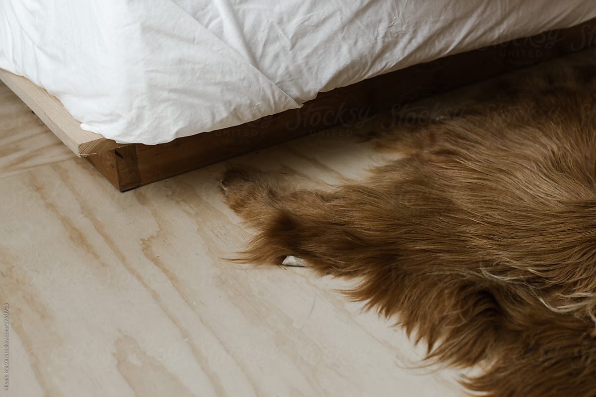 brown fur animal rug on plywood floor at foot of bed