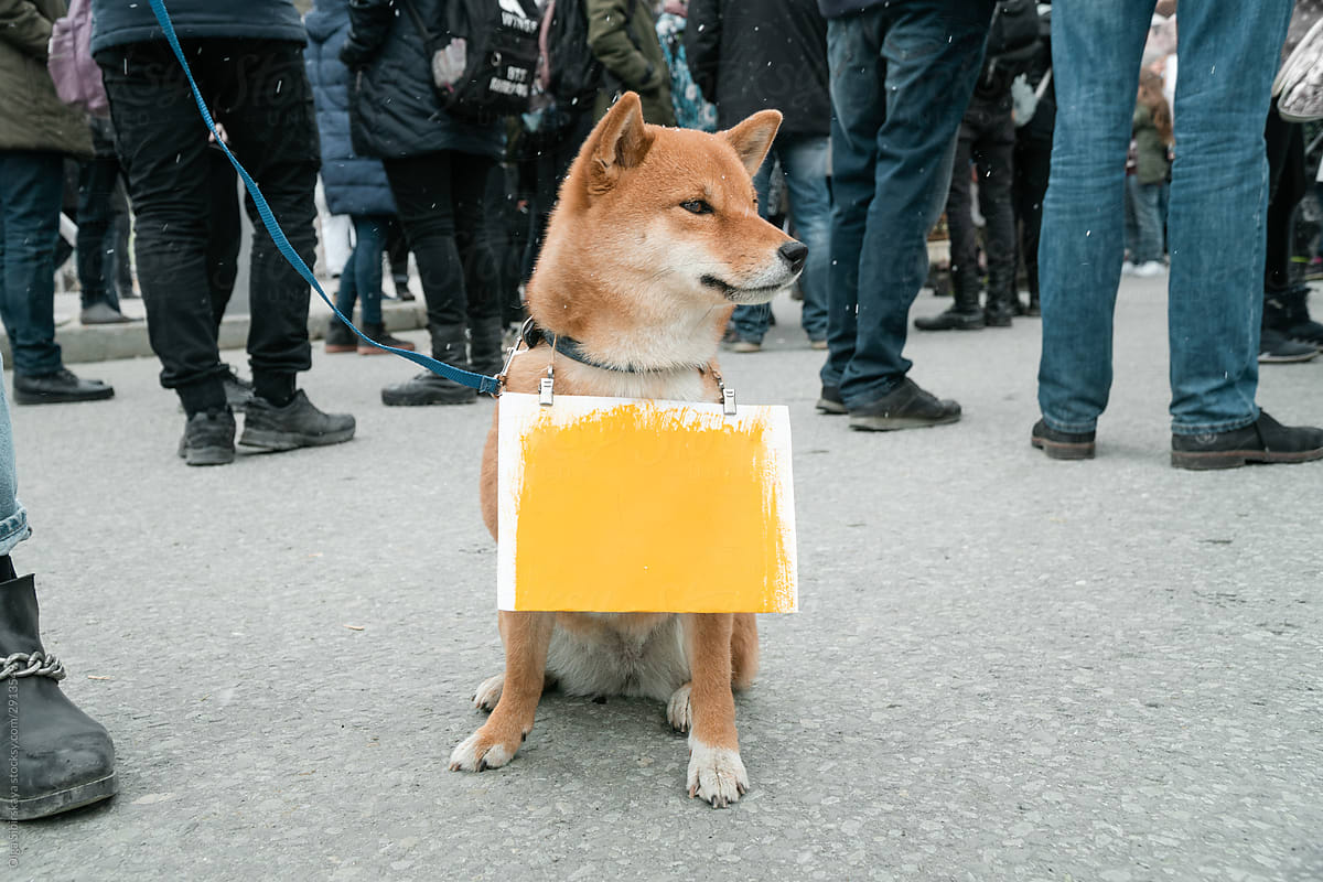 Dog protest on Demonstration