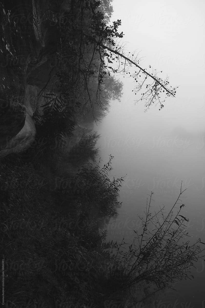Dark misty lake with fallen tree