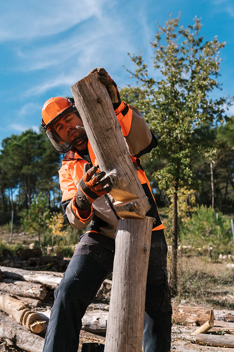 Focused male lumberjack breaking log