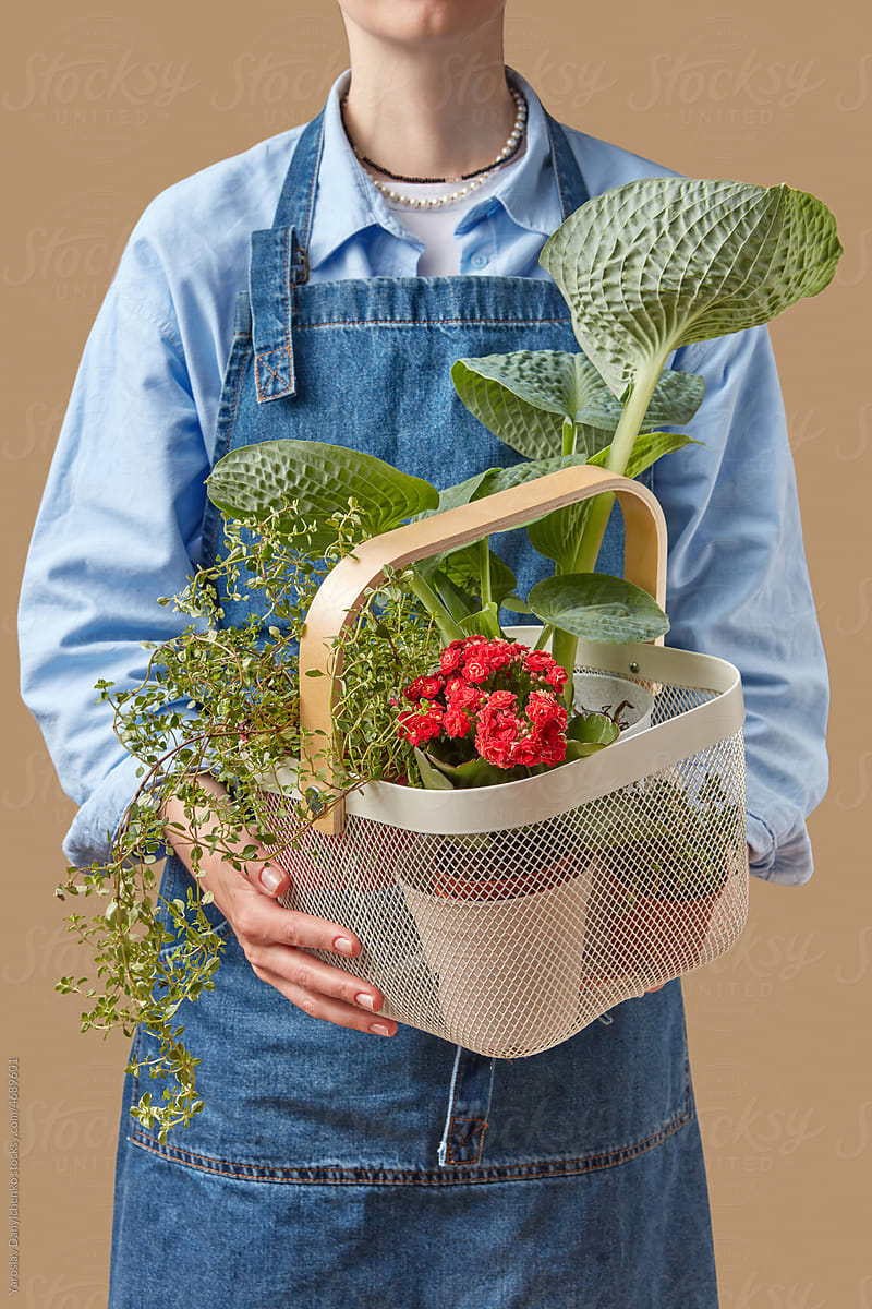 Florist holding plants in basket