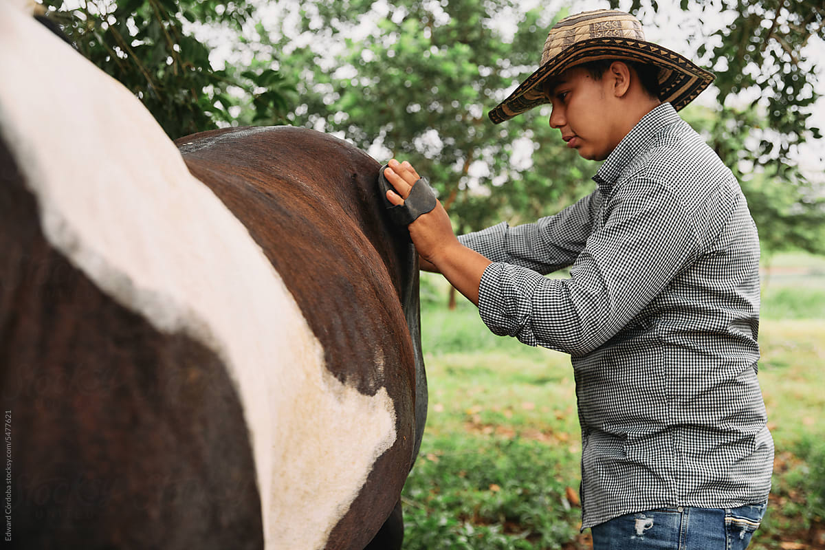Smiling young man brushing his horse in a rural area of Colombia