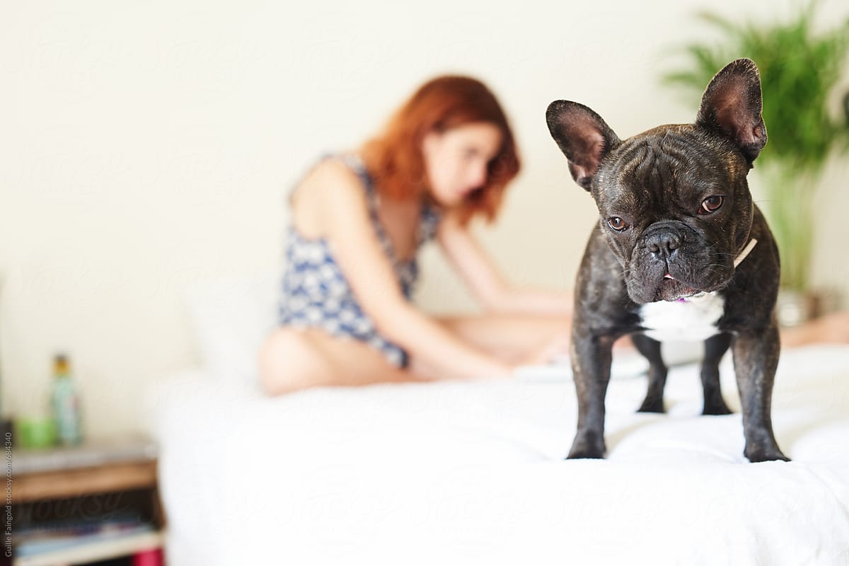 French bulldog and girl on bed