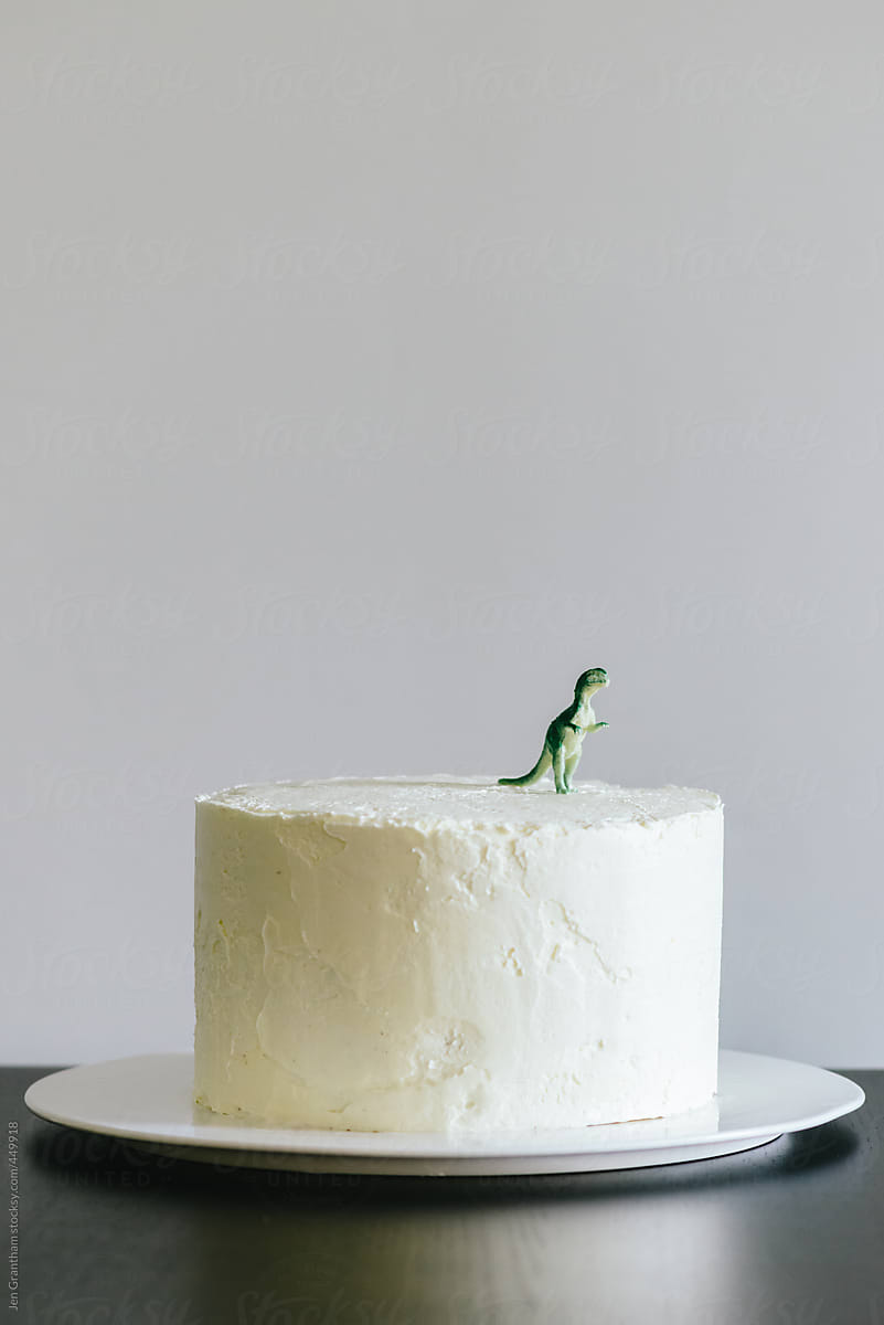 Minimalist cake with a dinosaur topper