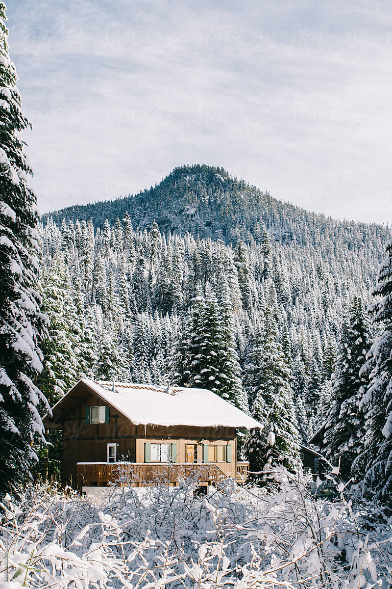 Cozy log cabin tucked in woods covered with snow