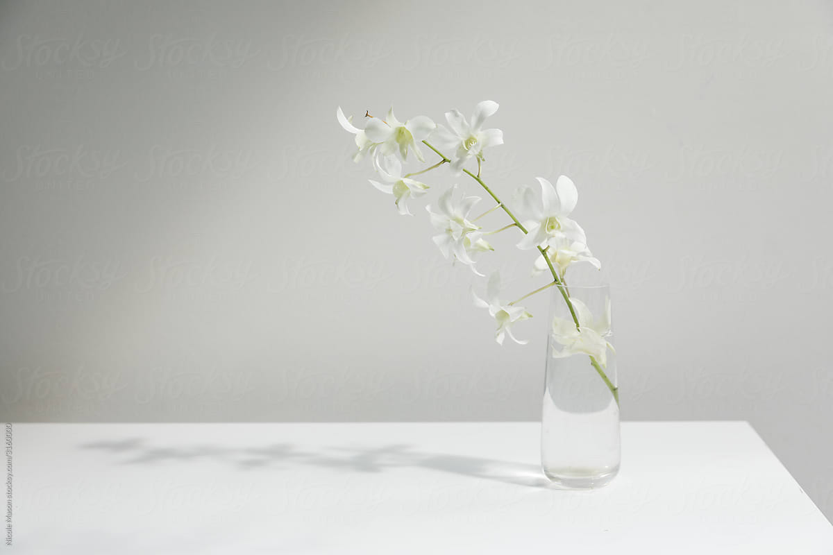 white flowers in vase of water on white table top