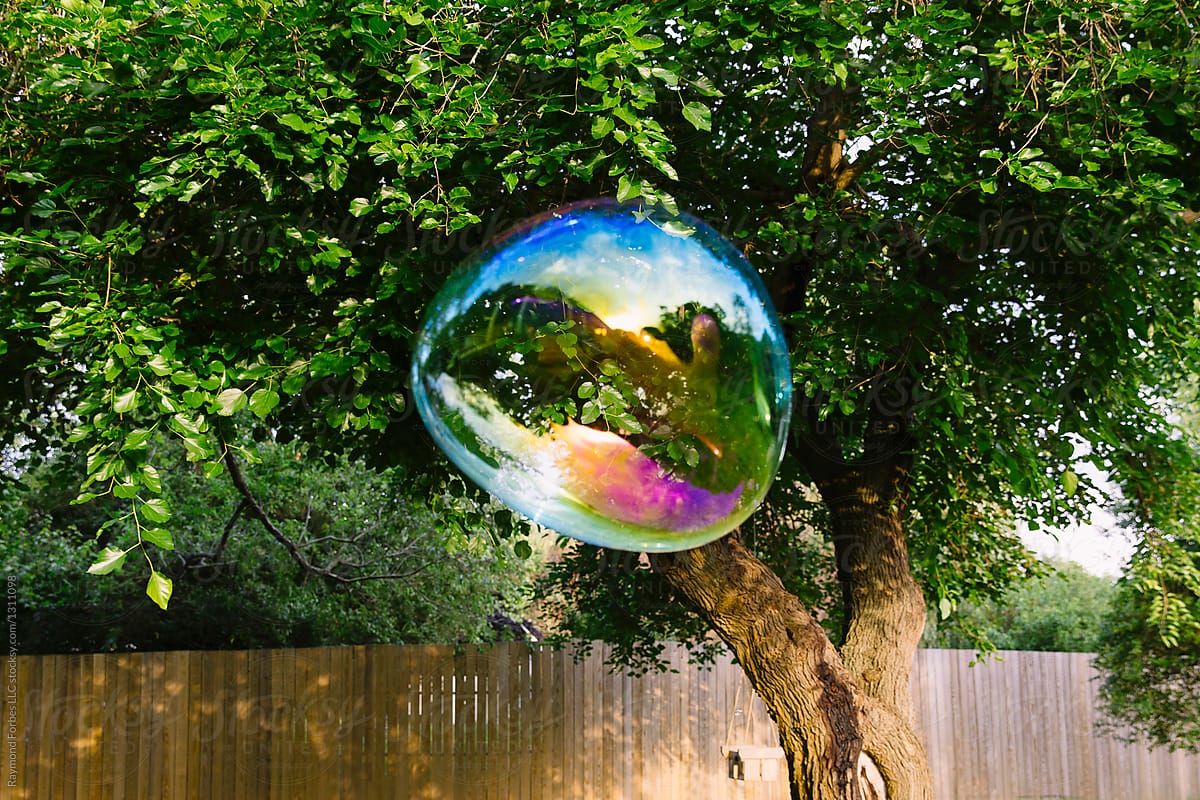Backyard Bubble