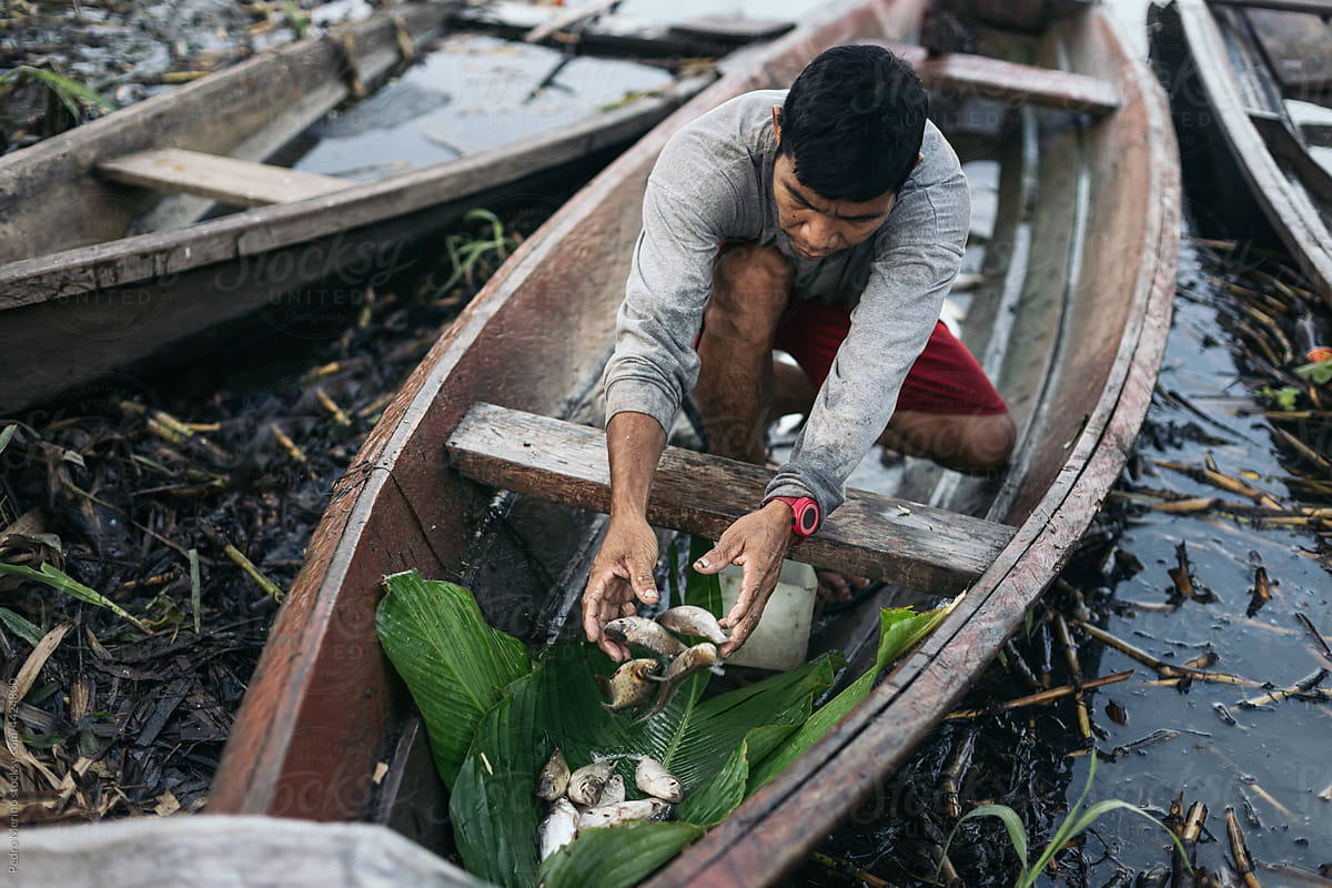 Collecting The Fish In A Small Wooden Boat by Stocksy Contributor