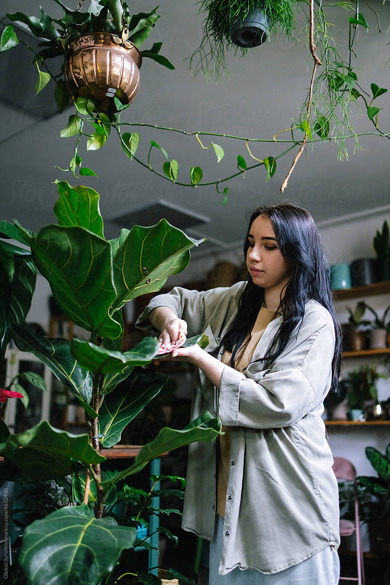 Woman cleaning houseplants from dust while looking after them in store