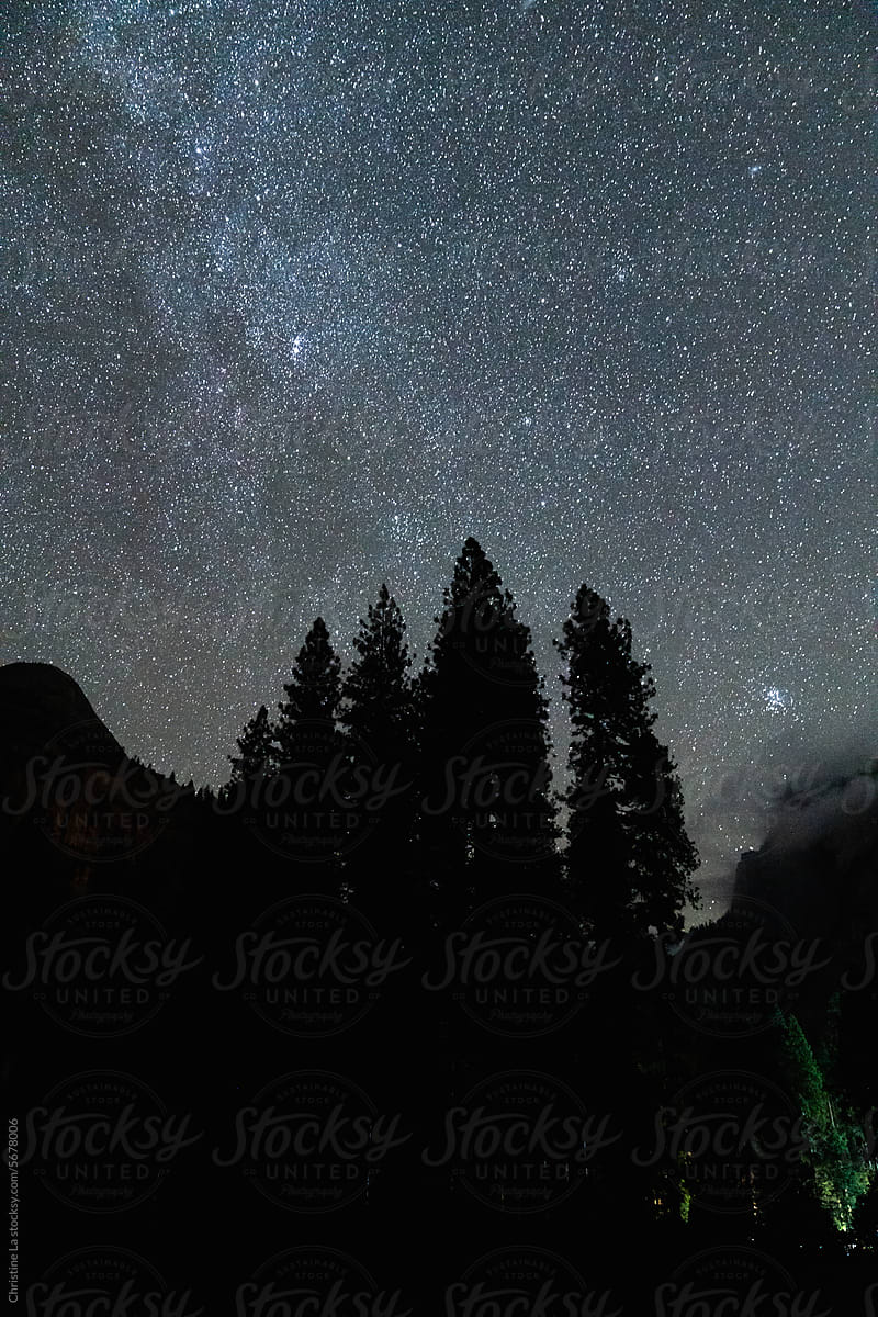 Milky Way Above Trees in Yosemite National Park, CA
