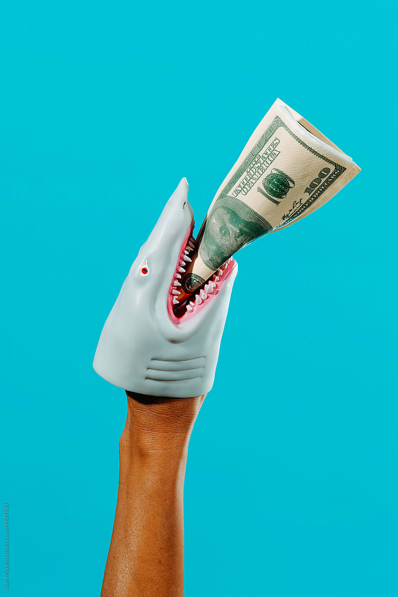 shark biting some fake dollar notes