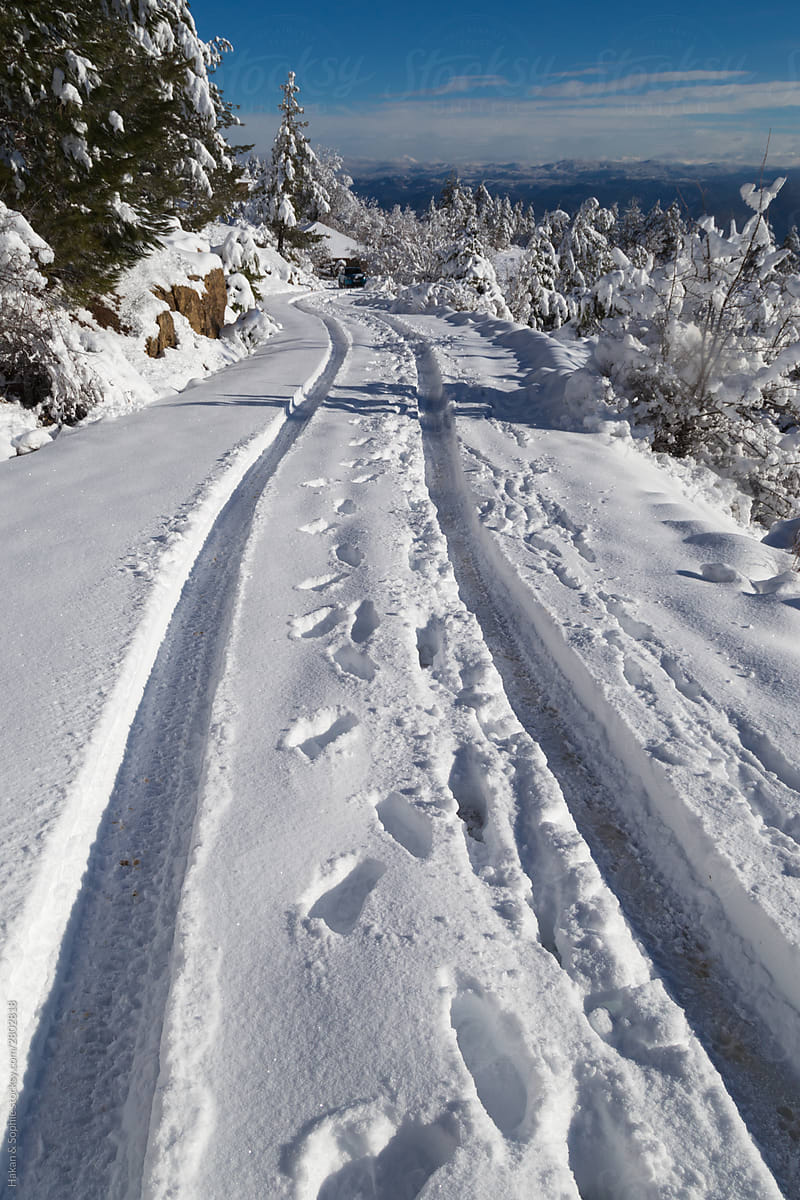 One car and one person\'s track on a pristine snowed in road