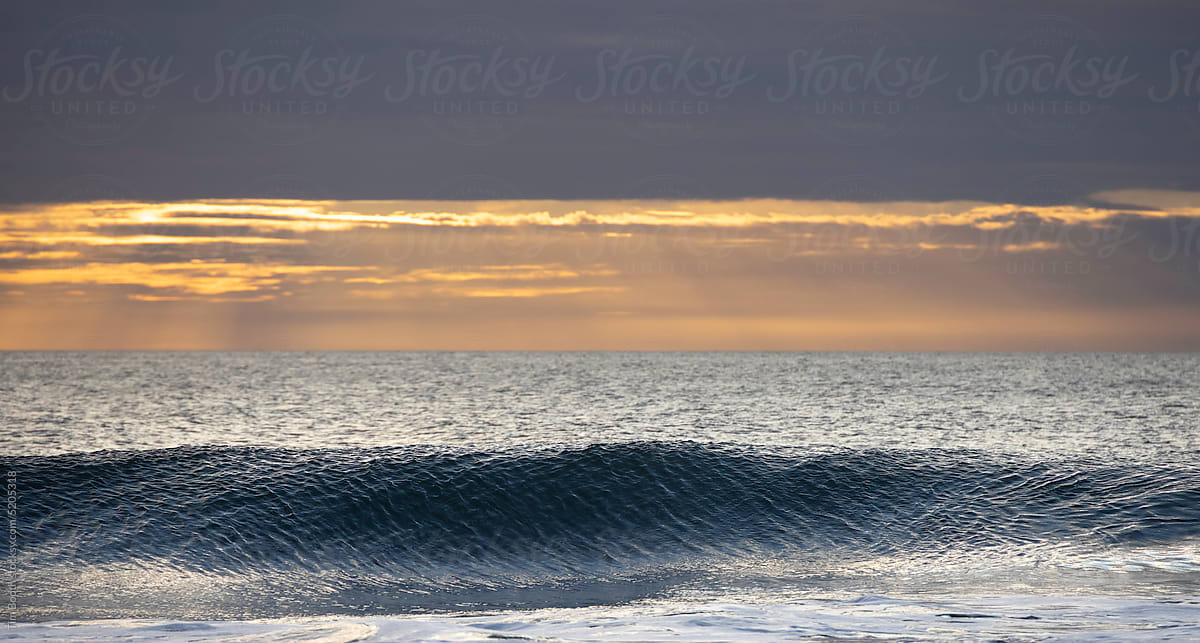 A gentle wave at dusk.
