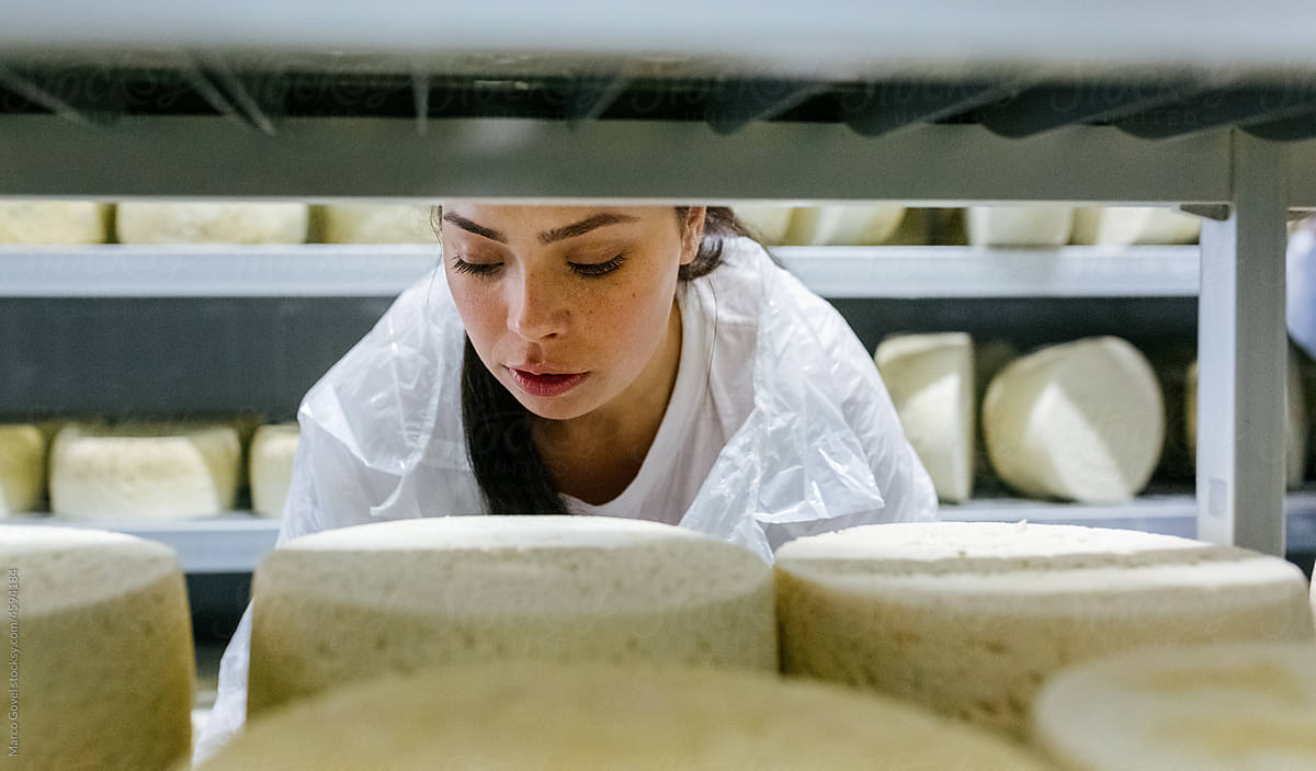 Artisan Cheese Factory
