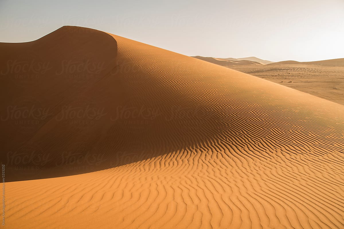 Curves on Sand Dunes