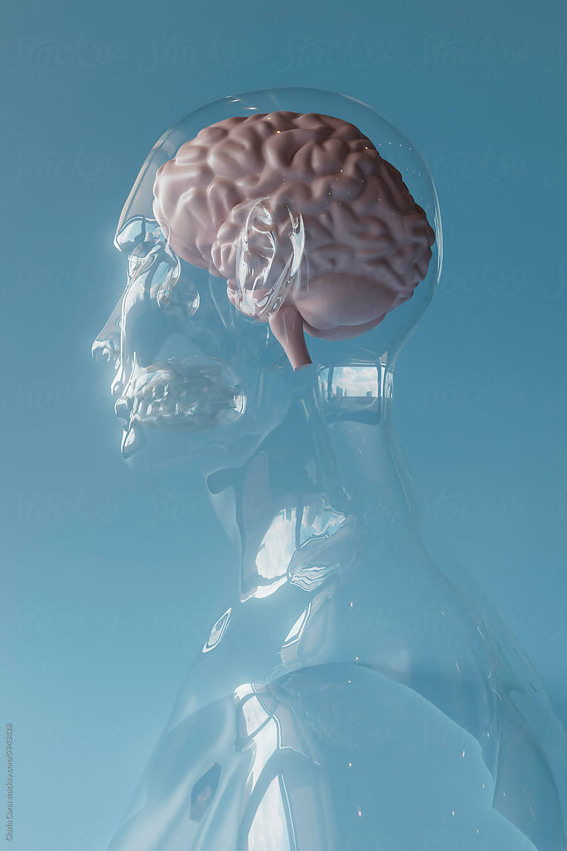 Transparent Mannequin with Visible Brain