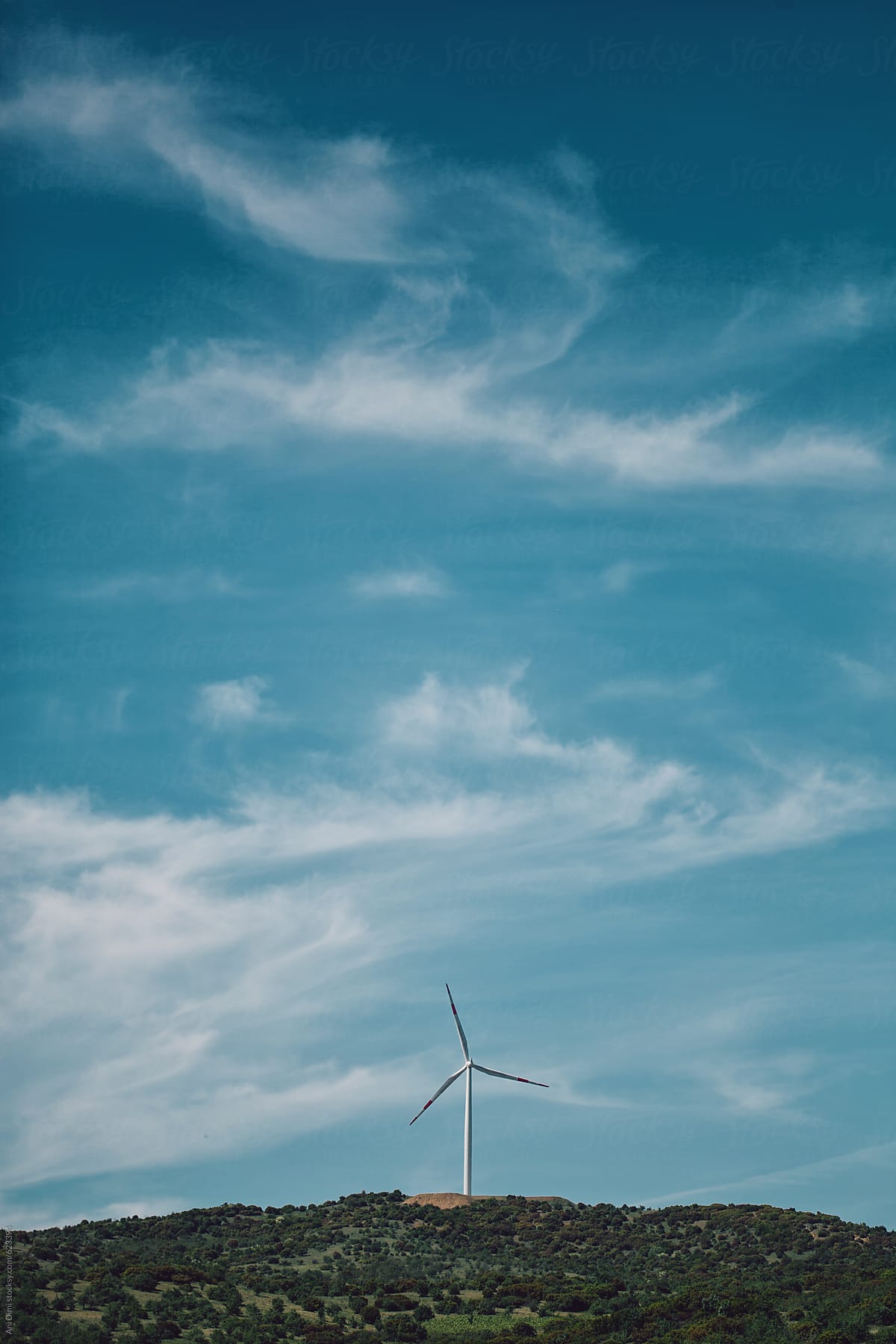 Landscape of an wind farm