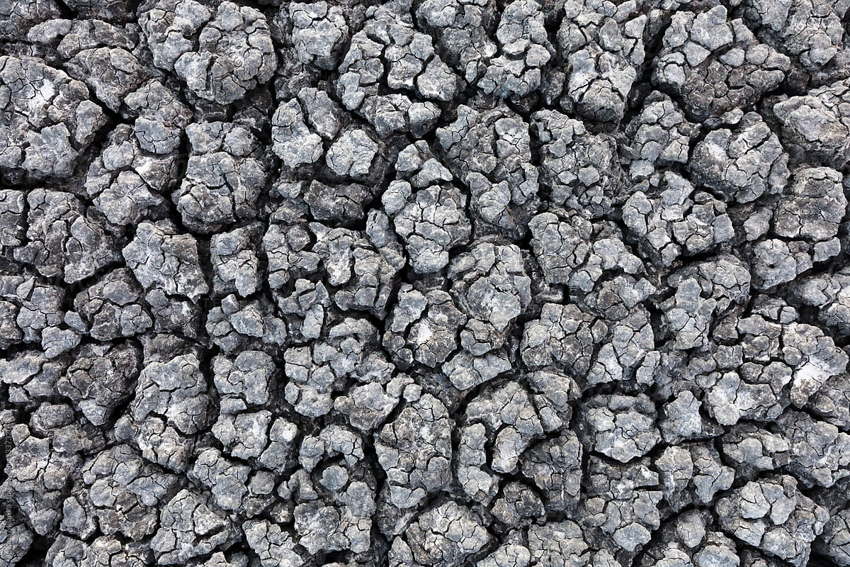 Dried earth surface background