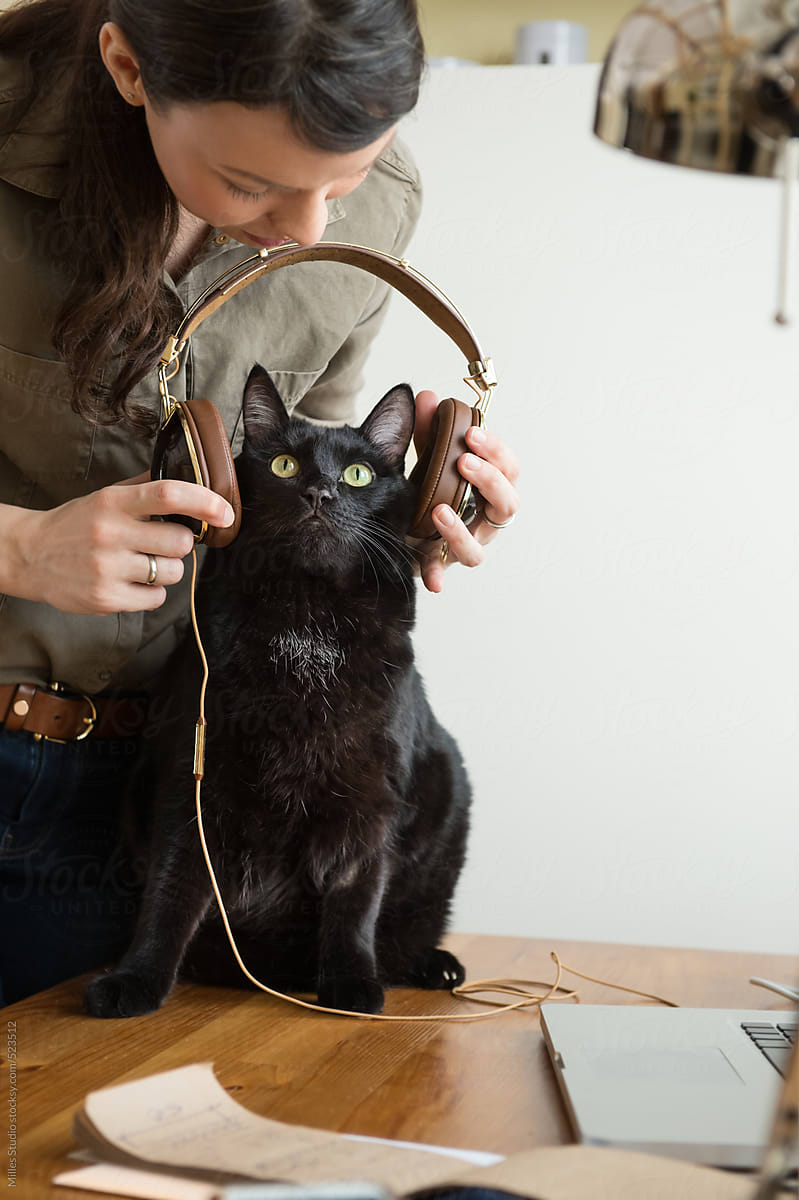 Woman giving headphones cat listen music