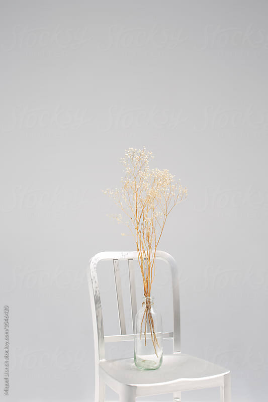 Metallic chair with dry flowers in a bottle