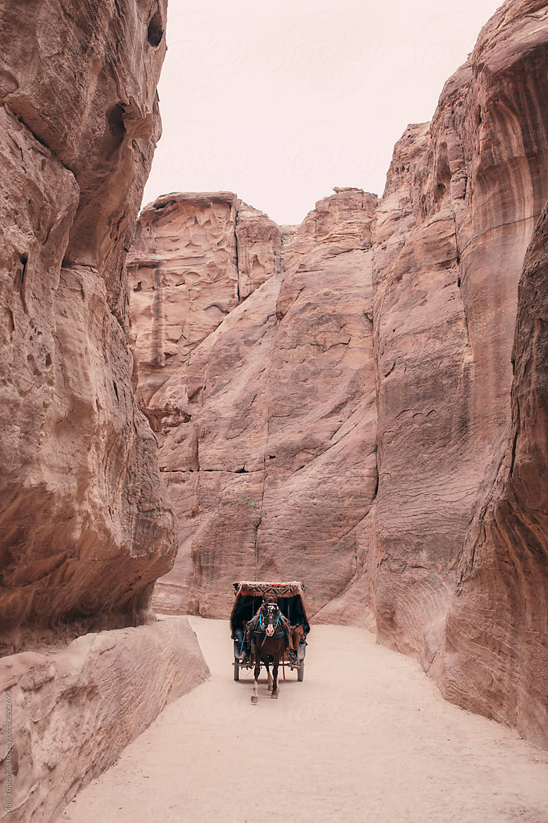 Carriage in the ancient city of Petra in Jordan