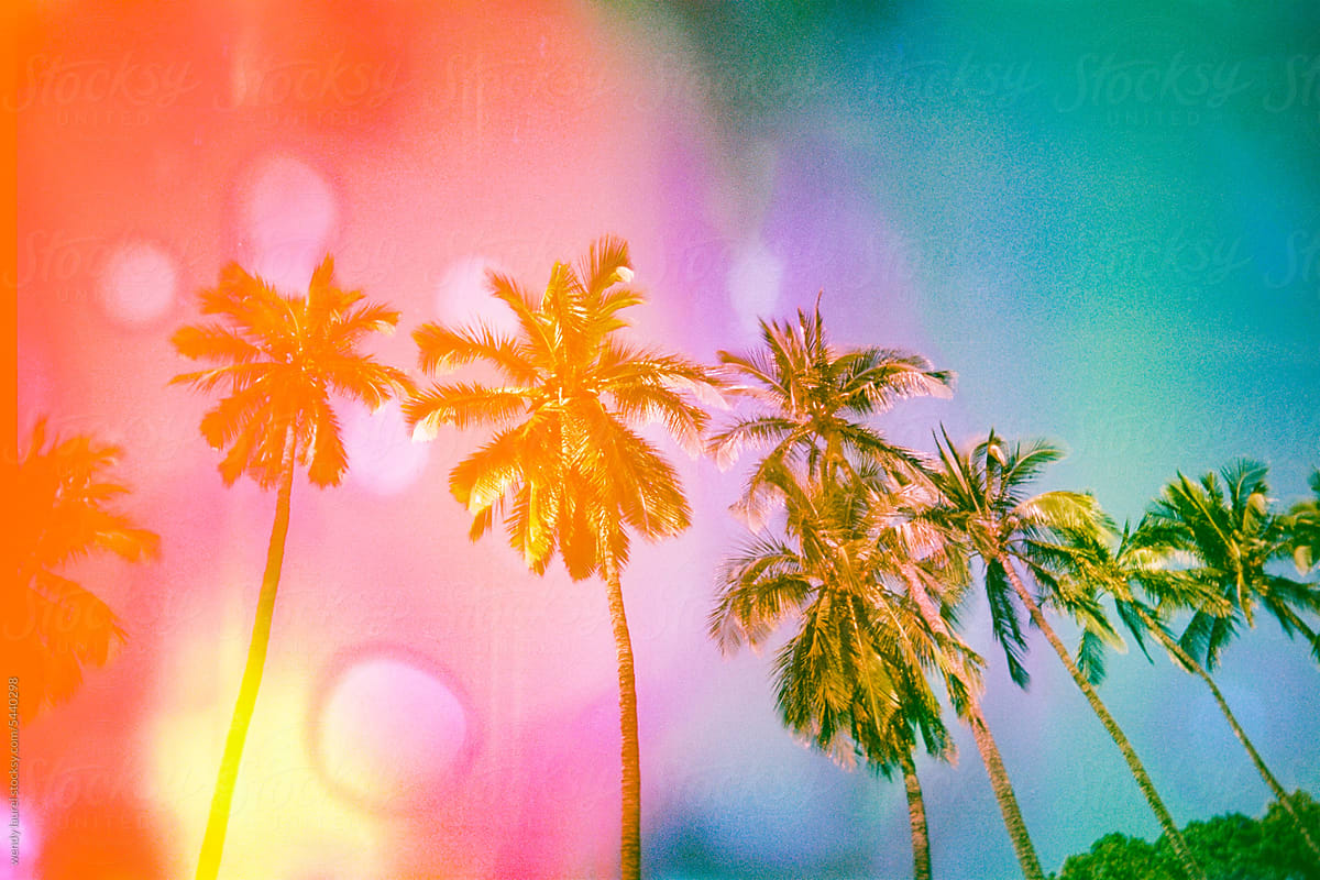 colorful maui scenery with brightly colored palm trees