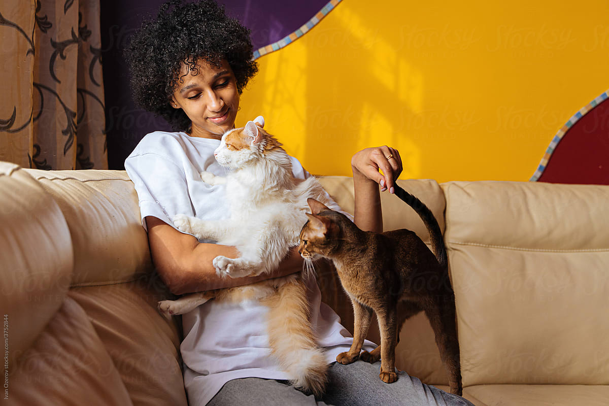 attractive curly afro woman stroking cats on the couch