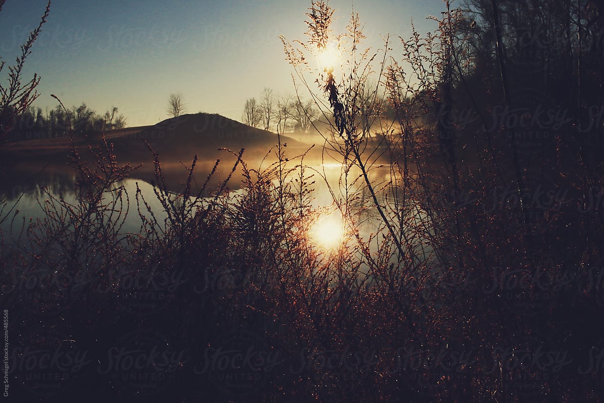 Early fog, sunrise and nature over a lake in a morning landscape